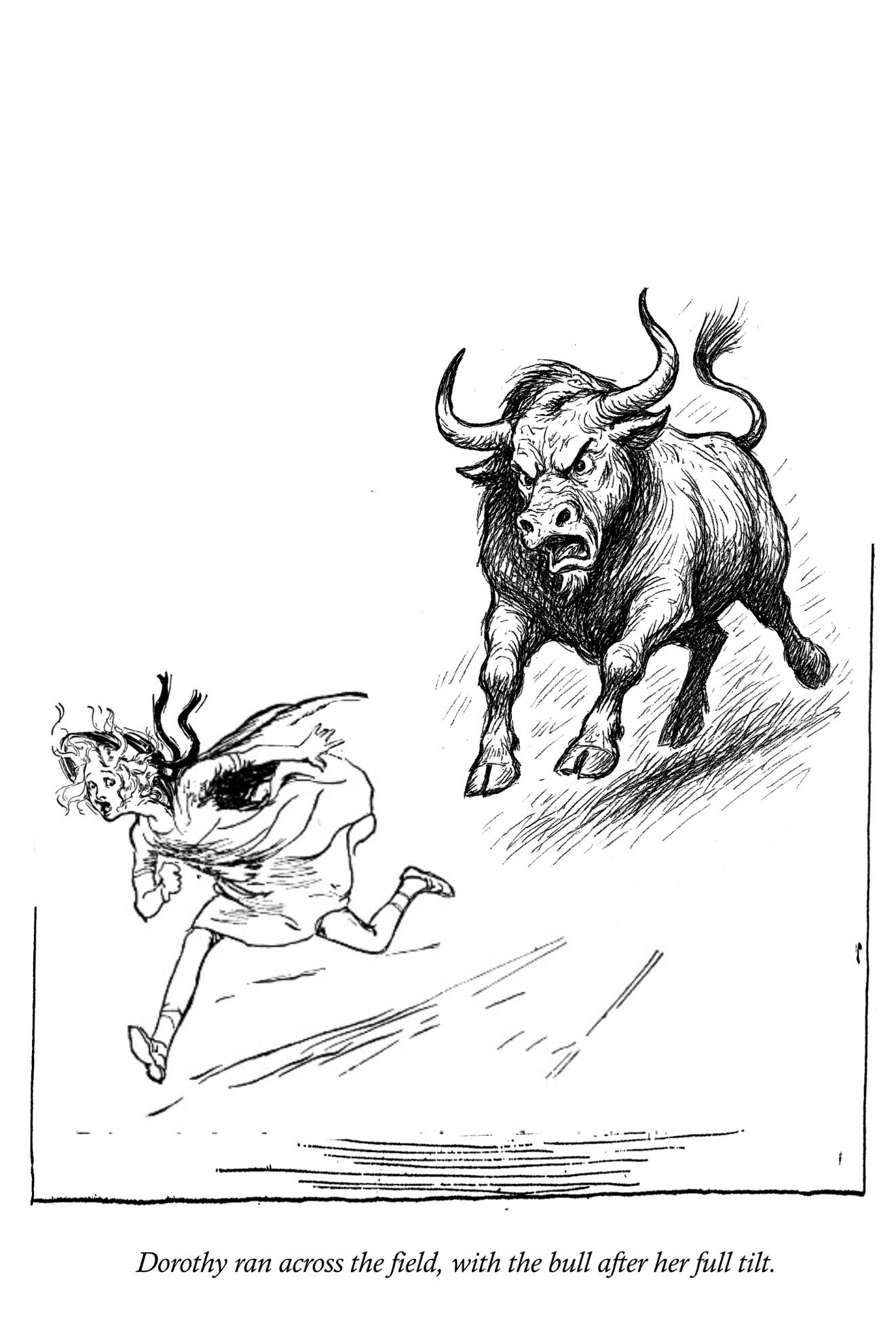 How the Sawhorse Saved Dorothy's Life